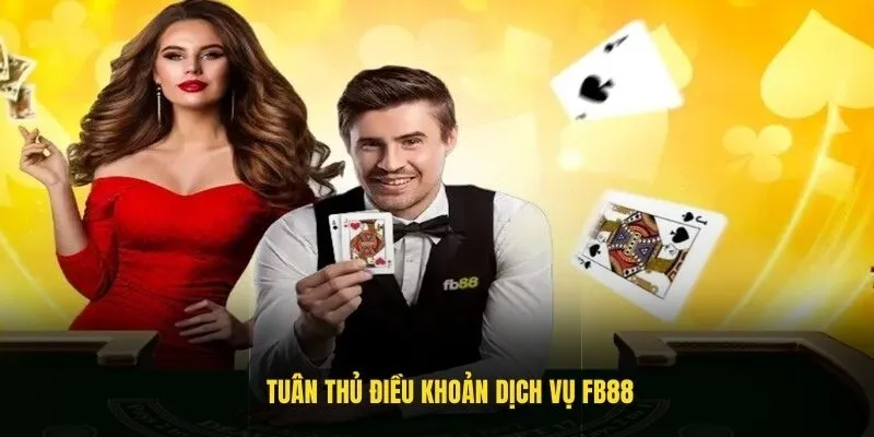Tuân thủ điều khoản dịch vụ FB88 Tuân thủ điều khoản dịch vụ FB88