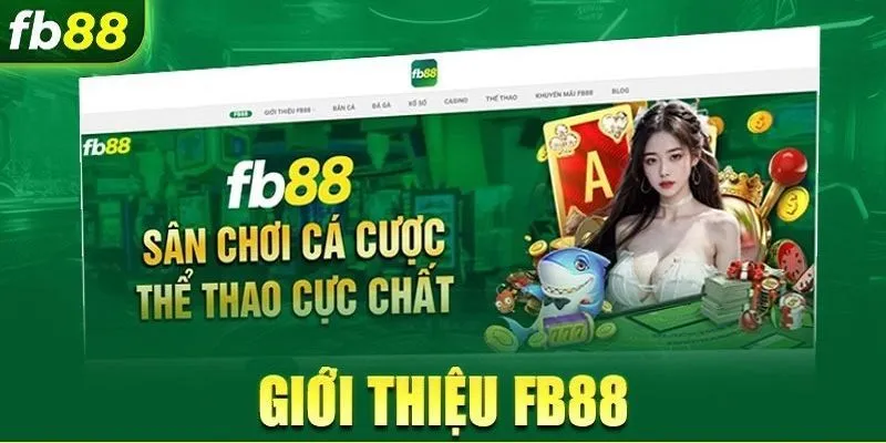 Về chúng tôi đầy đủ nhất Về chúng tôi đầy đủ nhất