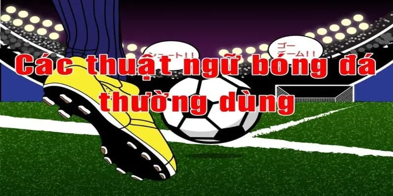 Những thuật ngữ nâng cao cho người chơi chuyên nghiệp